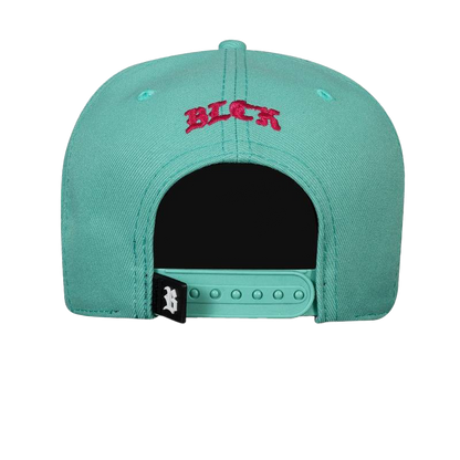 Blck Snapback Green Logo Splash 3D